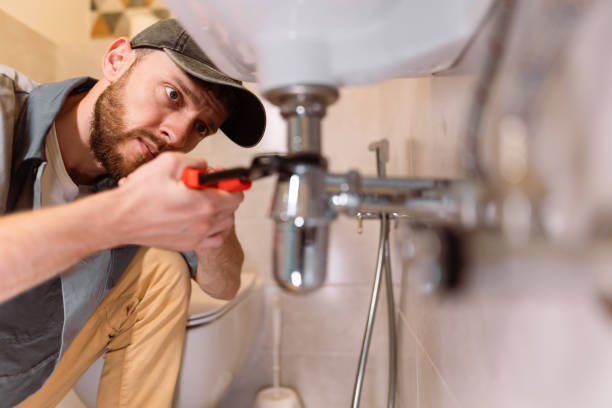 Best Leak Detection and Repair  in Deltana, AK